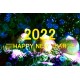 С Новым годом 2022!!!